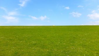 landscape of green grass in the meadow under blue sky