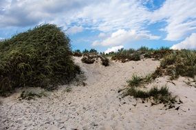 Dune near Baltic Sea, germany, rÃ¼gen