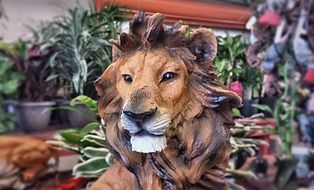 lion animal wild wildlife design