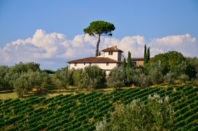 tuscany villa italian nature
