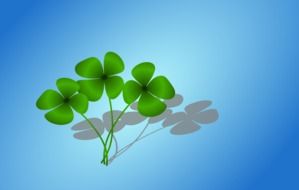 four-leaf clover at blue background, drawing