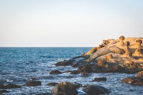 stunningly beautiful coast rocks