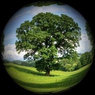 colorful nature in a ball