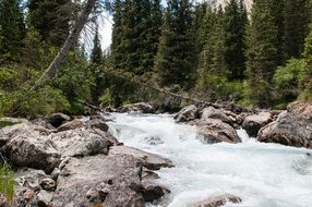 River in Kyrgyzstan