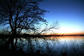 landscape on a lake with trees