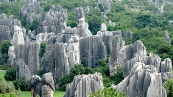 china stone forest