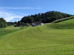 farmhouse on a green meadow