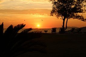 sol mar beach sky horizon
