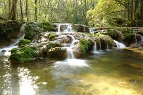 water cascade in the summer forest