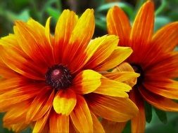 beautiful and delightful yellow flower