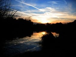 lake between trees at sunset