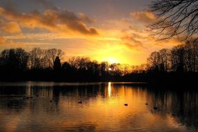 sunset on the pond