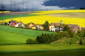 Fields of mustard and houses