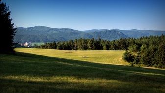 summer morning landscape