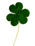 Clipart of a clover