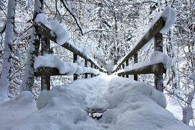 snowy wooden bridge in the forest