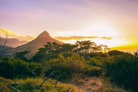 landscape of idyllic mountain jungle forest