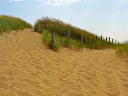 landscape of delightful sand dunes