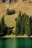 lake shore with green fir trees near the mountain