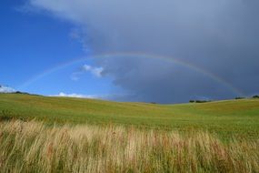 rainbow in the meadow