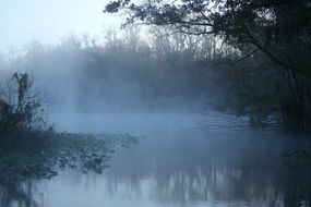 fog over river at dawn