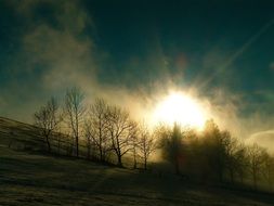 landscape of winter mood in nature