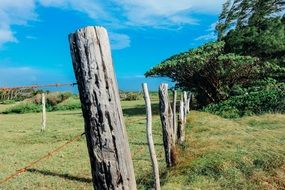 wooden fence farm field nature landscape