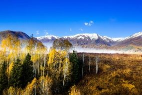 picturesque landscape with forest and snowy mountains, northern china