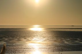sandy beach landscape