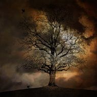 mystical landscape with dead tree and crows in moonlight
