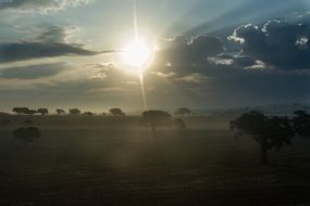 sunrise on fields in Portugal