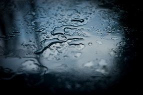 Wet rain drops macro view