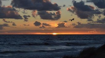 Sunset near the ocean in summer