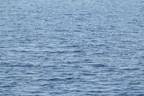 Blue clear water of the ocean close-up
