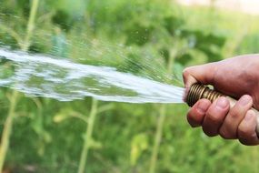 fresh water hose