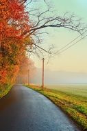 road along the autumn forest