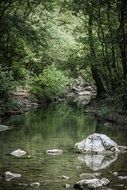 landscape of the stones in a forest water