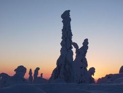 finland snow lapland landscape