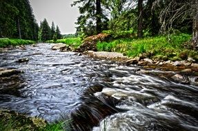 Landscape of the river in forest in the South Bohemia