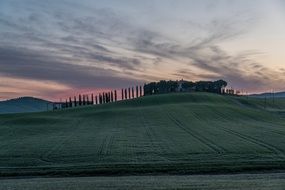 scenic evening landscape, field on hill side