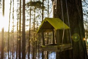 feeder cottage sun