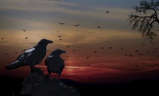 two ravens in a mystical landscape