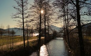 peaceful weather on a lake on a sunny day