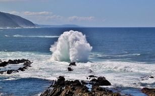 incredibly beautiful sea wave