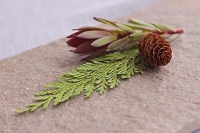 cone for still life