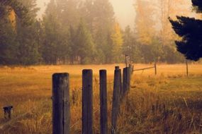 old wooden fence on pasture