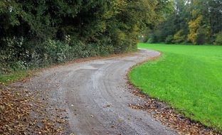 road in dry fall foliage along a green field