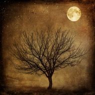 Beautiful drawing of the tree under the Moon