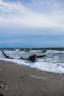 waves on the Baltic Sea on the beach