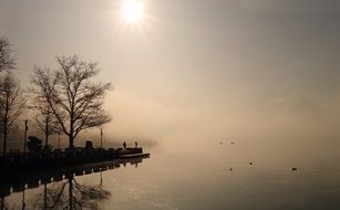 Foggy morning in the autumn